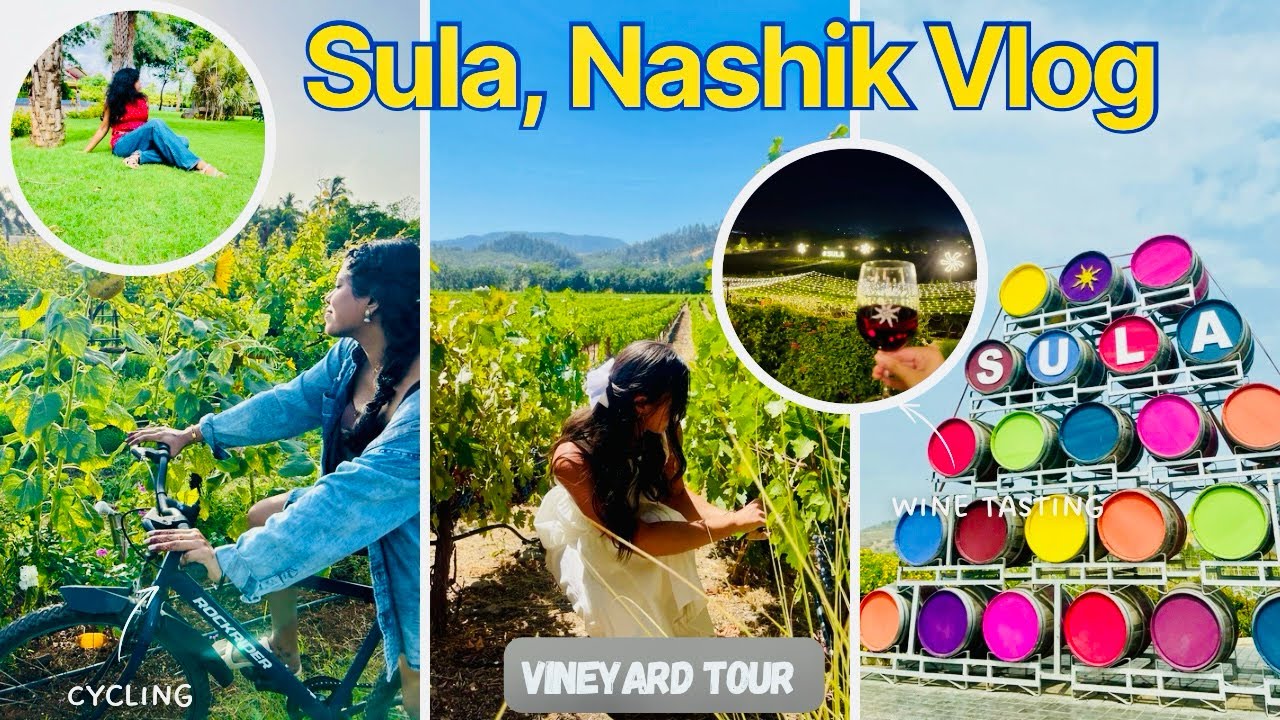 Экскурсия и дегустация вин Sula Vineyard в Нашике 🍇 Отдых в отеле The Source by Sula: лучшие вина...