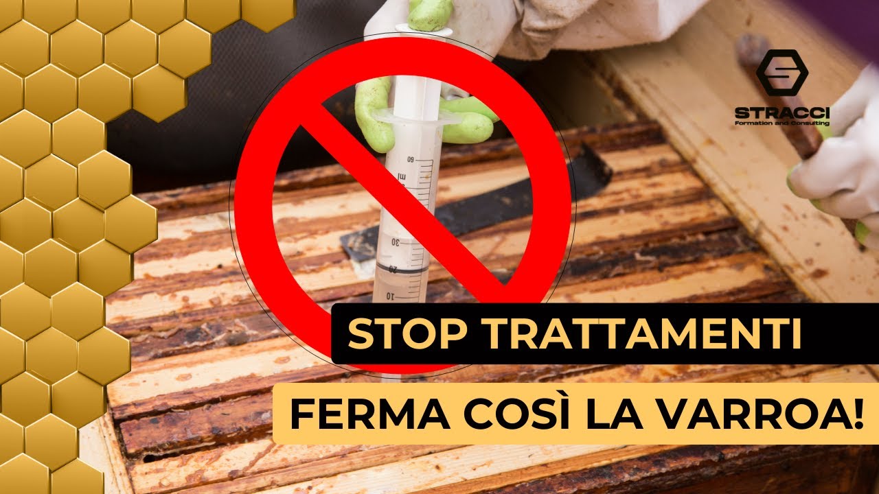 Il Segreto per Sconfiggere la Varroa SENZA Trattamenti Chimici!