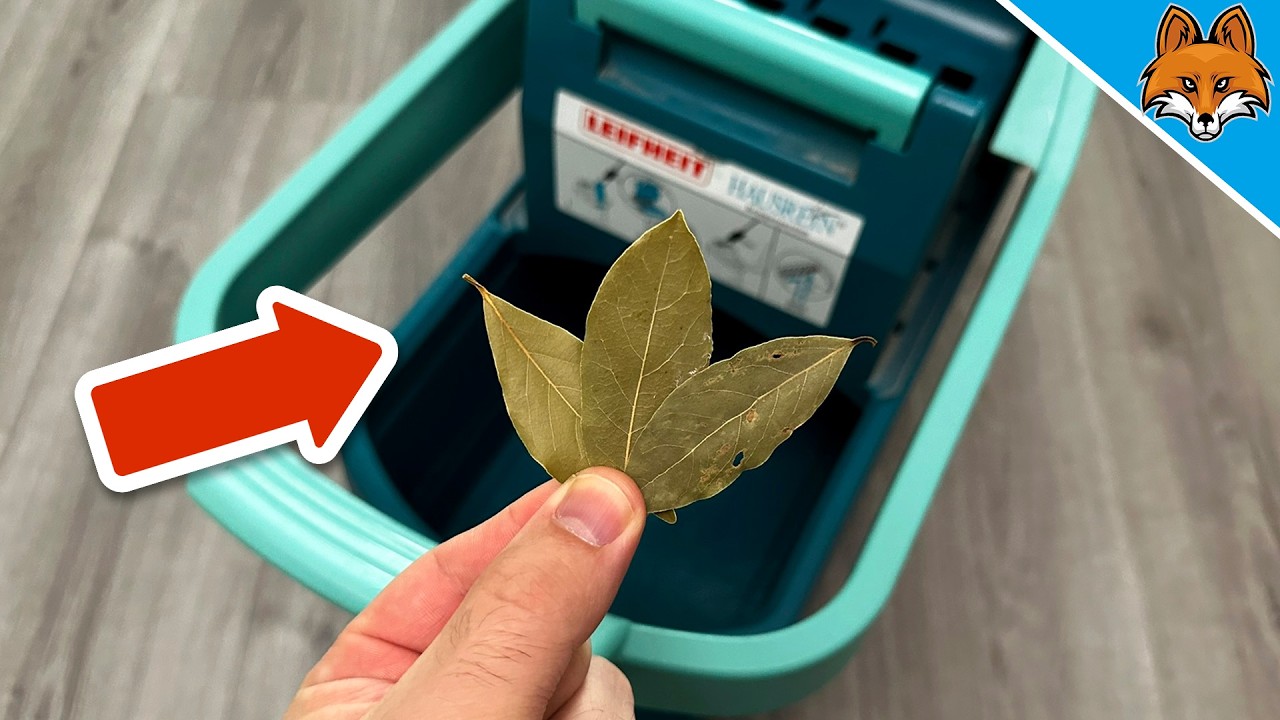 Der (leider Geheime) Trick mit 3 Bl&auml;ttern im Wischwasser💥(Genialer Trick)🤯