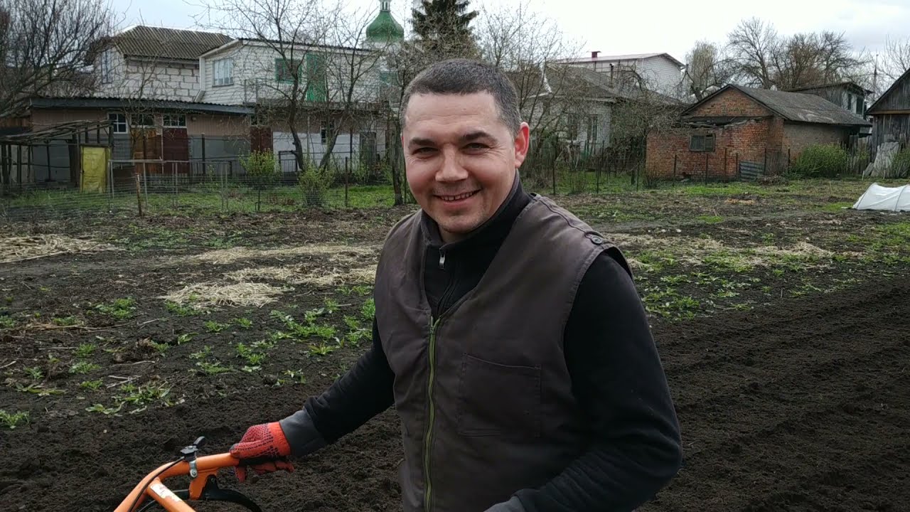культивация мотоблоком кентавр  МБ 2060Д (6 Л.С.)