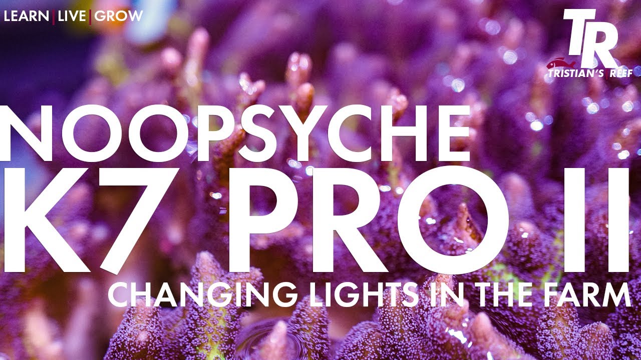 Tristian's Reef: Noopsyche K7 Pro II -  Lighting the Farm #trscaquatics #allmymoneygoestocorals