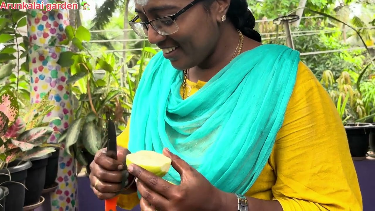 Koiya harvesting our garden 