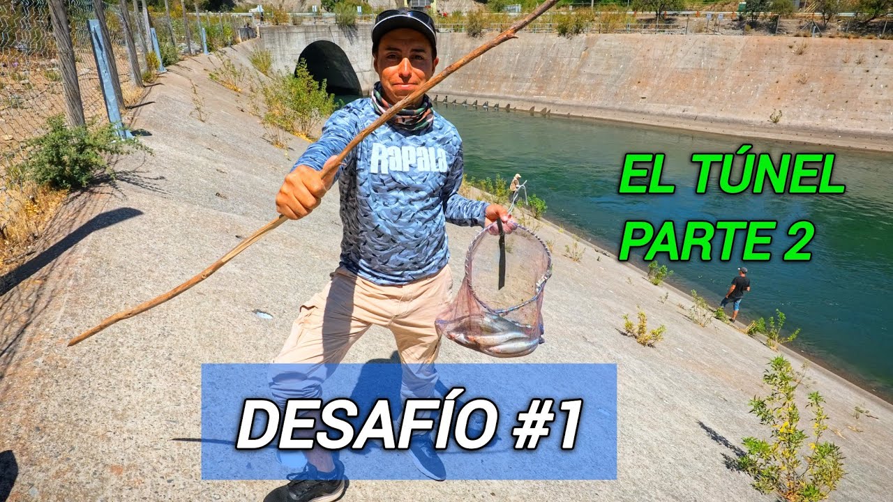 🇨🇱 PESQUÉ PEJERREY CON UNA VARA Y MASA DE HUEVO🥚