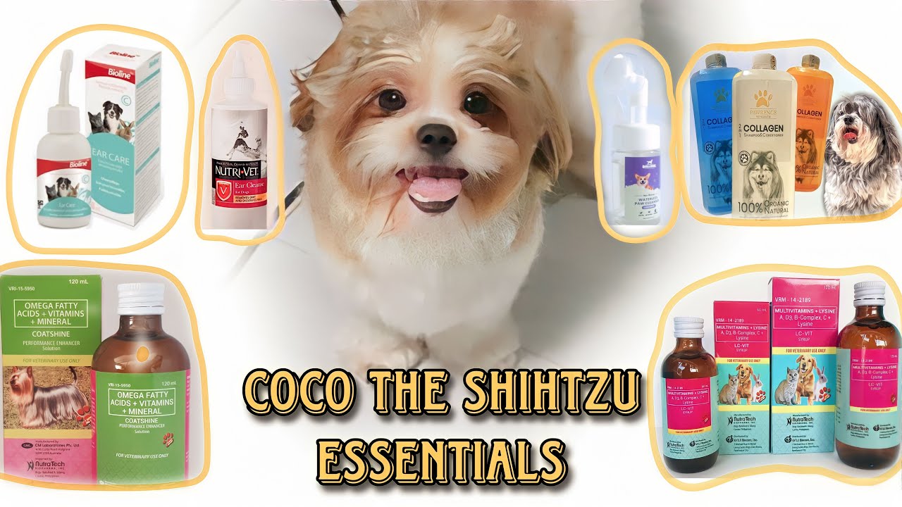 Coco the ShihTzu Essentials | New Shampoo & Conditioner | Ear and Paw Cleanser | FurMom Mitchz