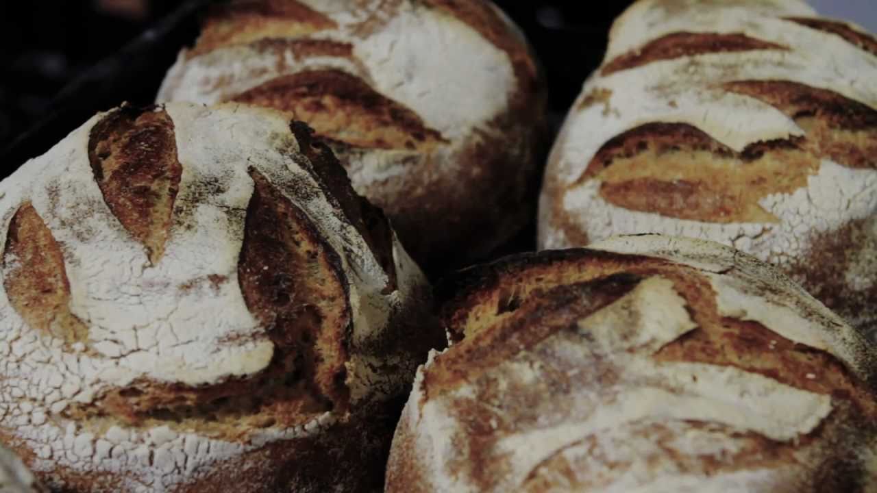 A Sourdough Journey (from Bellata to Sonoma) - The Sonoma Bakery Story