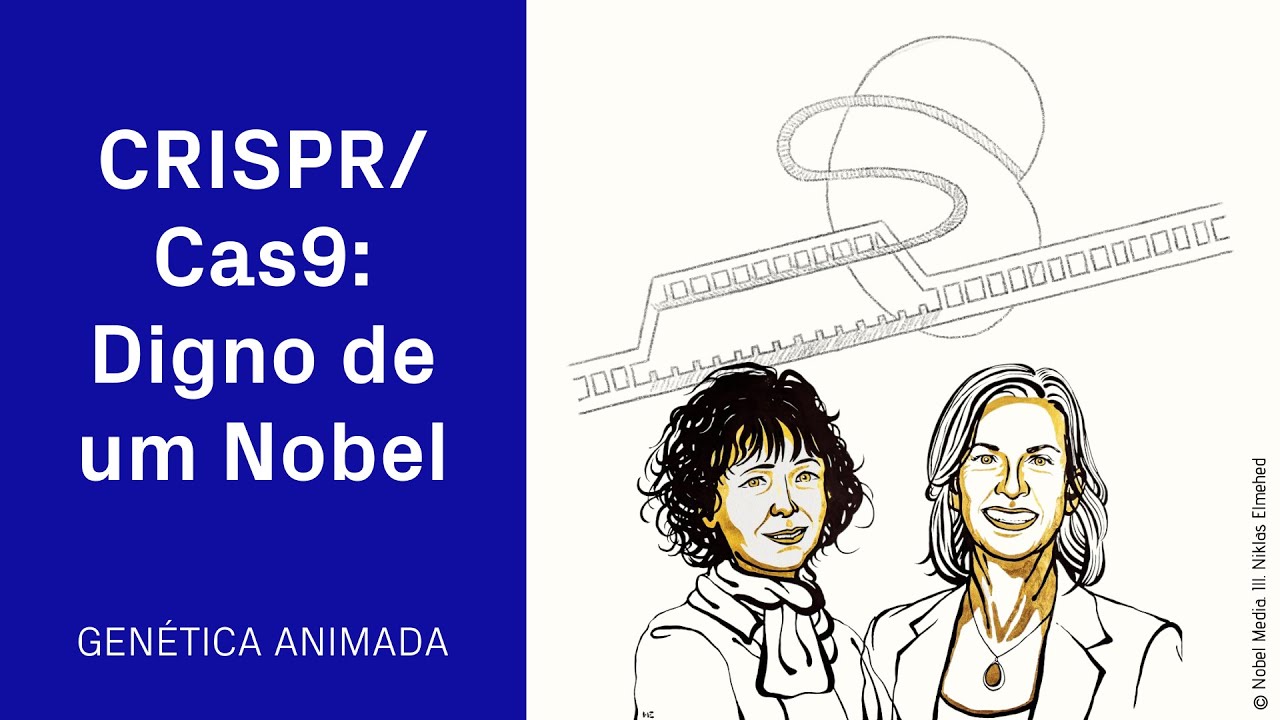 A edi&ccedil;&atilde;o do DNA via CRISPR/Cas9