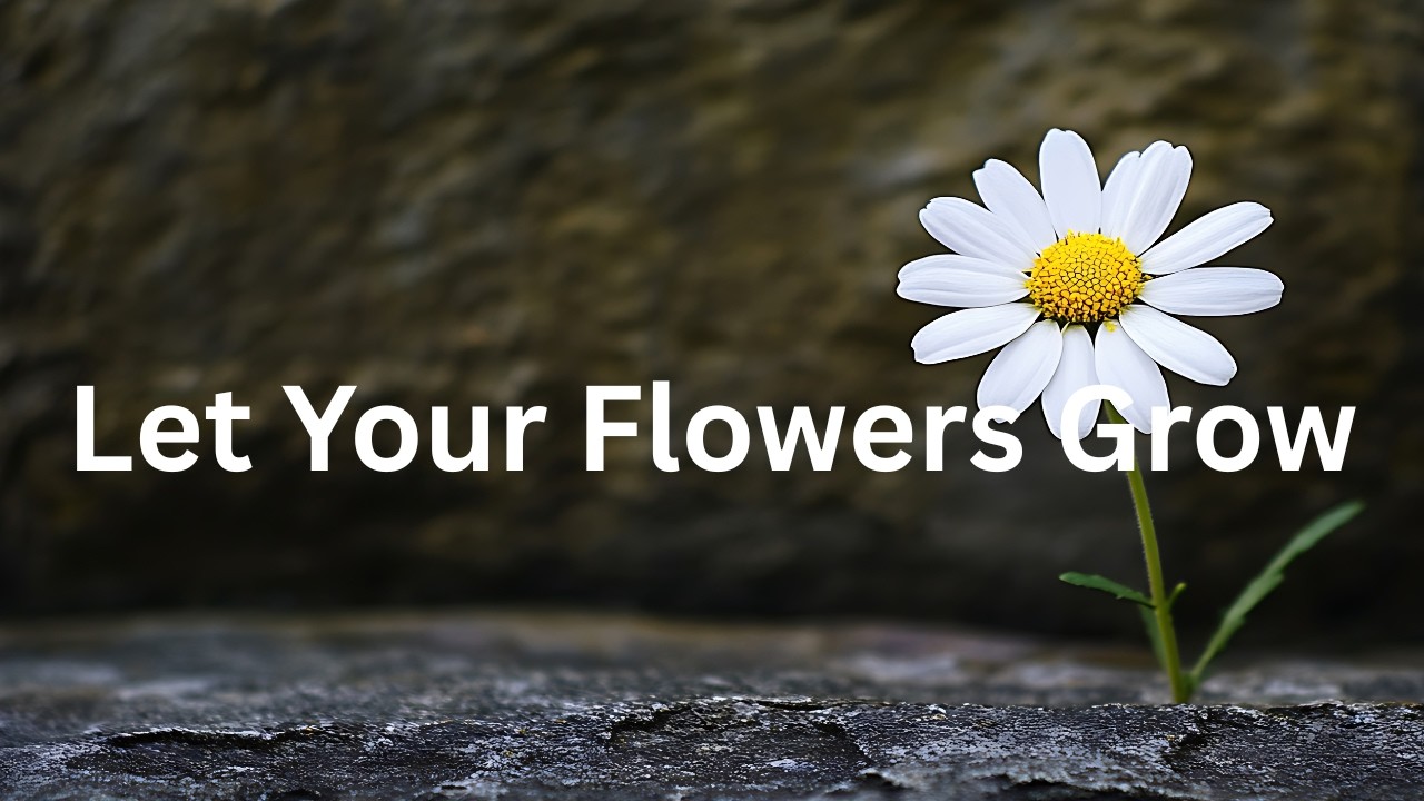 Yogi Max –  Let Your Flowers Grow (Electro-Dance) [Female Vocals]