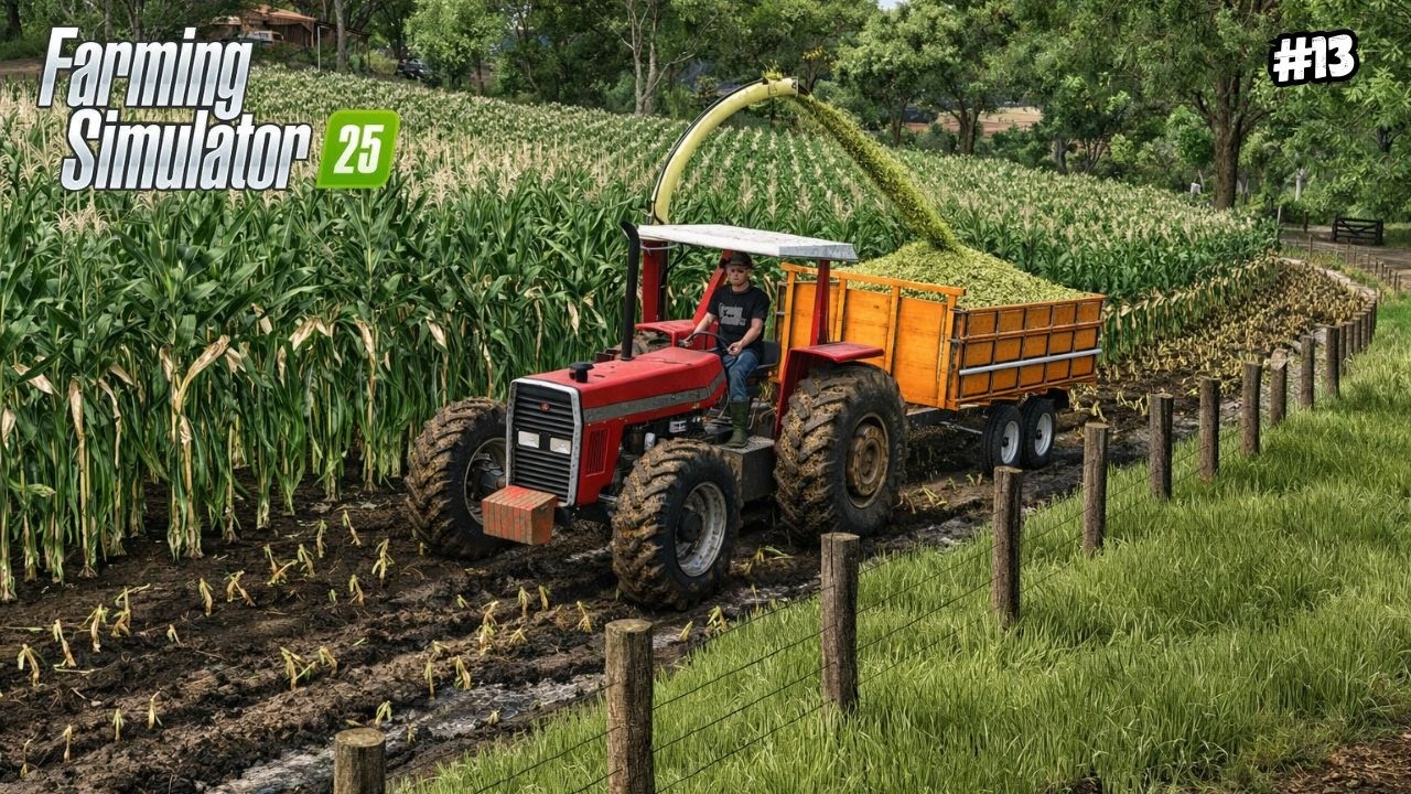 Comecei a Produção da Silagem do nosso Milho | CHEGUEI NO PIRAMBEIRAS | Farming Simulator 25 | Ep 13