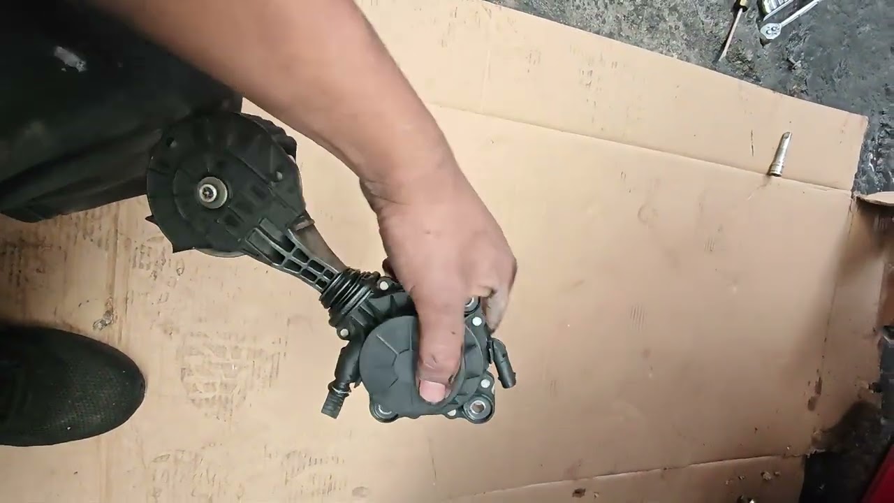 Polea de bomba de agua y banda de accesorios Peugeot 3008