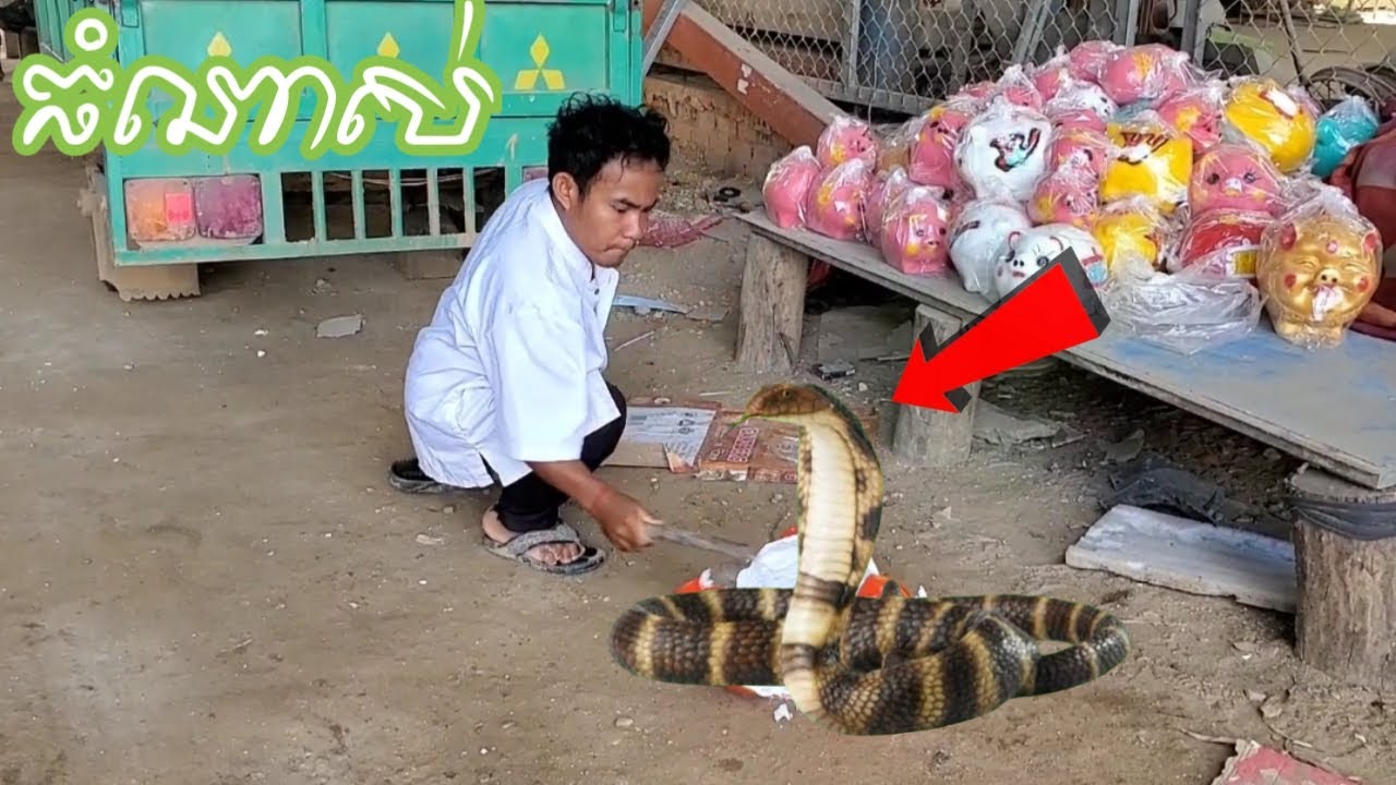 អ្នកលក់រត់ហើយ!មកទិញកូនជ្រូកបែរជាជួបរឿងដែលមិននឹកស្មានដល់😱