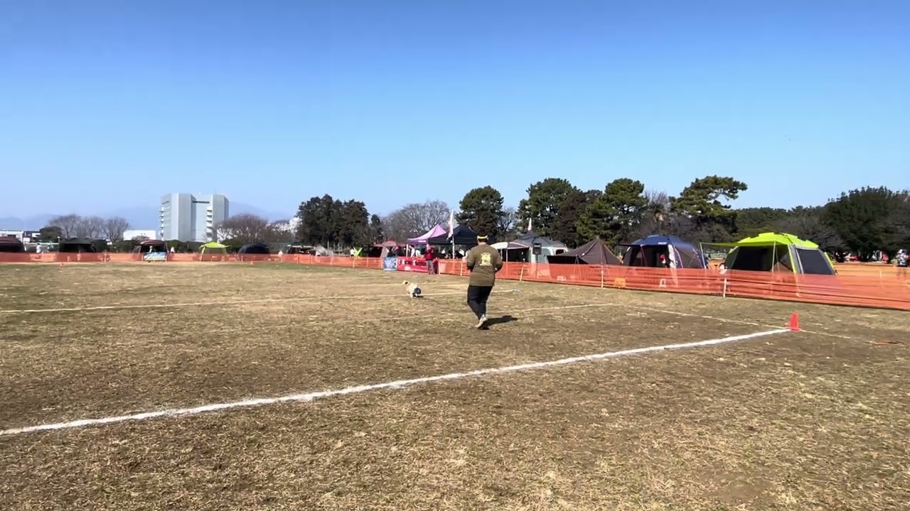 NDA寒川大会ドギーズサバイバルオープン戦1R・煉(2026年2月15日)