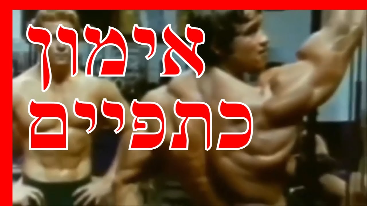 איך לבנות כתפיים, אימון כתפיים בחדר כושר, Deltoid, תרגילים לכתף אחורית, כתף קדמית, שריר הדלתא תרגיל