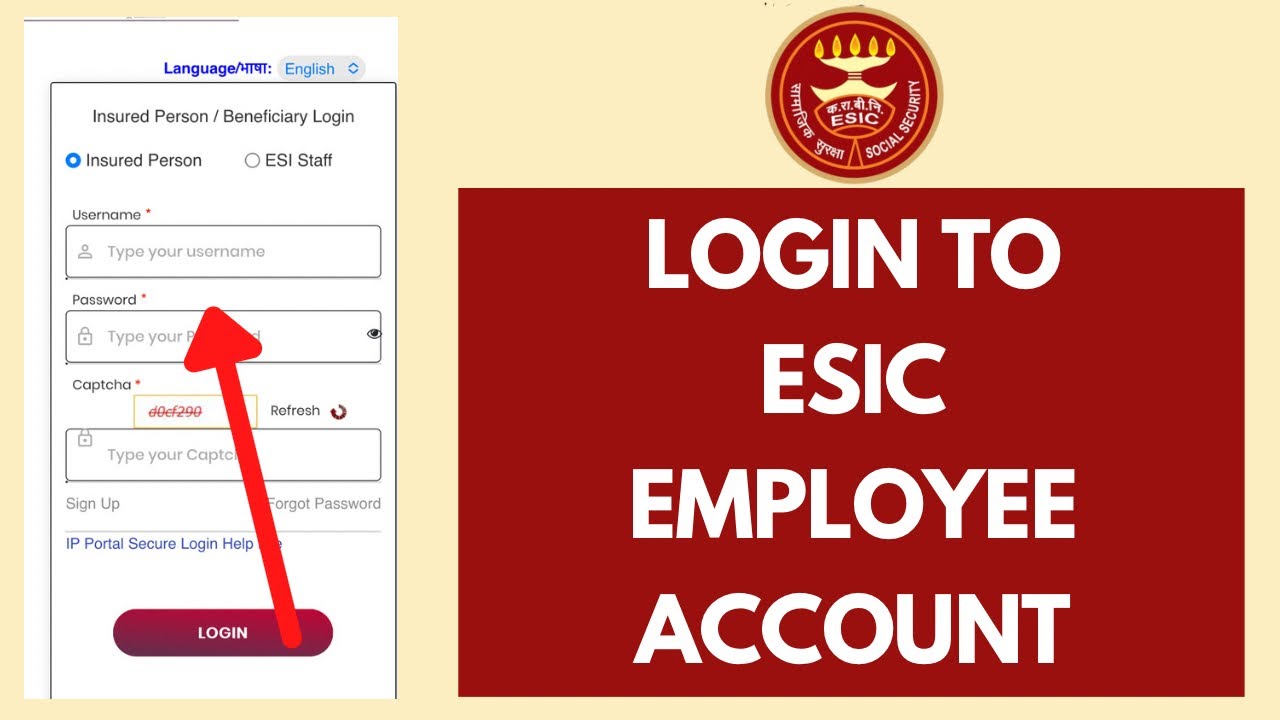 ESIC EMPLOYEE LOGIN - How to Sign in to Esic Employee Portal (2023)