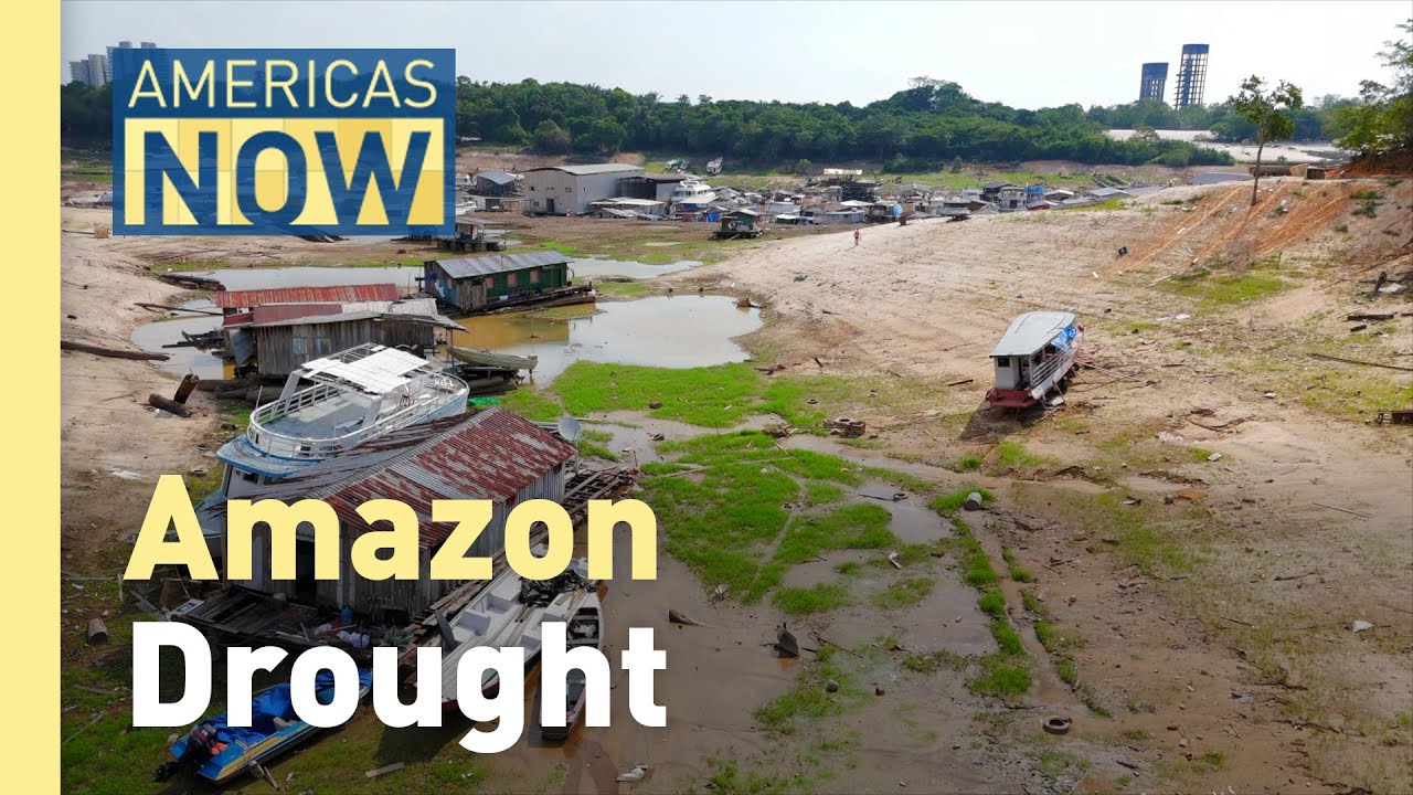 Record drought in Brazil raises concerns for the future of the Amazon Rainforest.