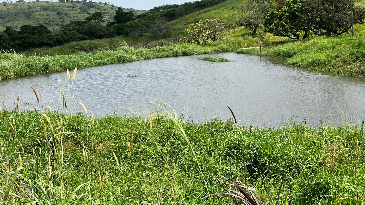 SÍTIO Á VENDA 6 HECTARES ESCRITURA PÚBLICA ZAP 83 9 9617-1757 IVANILSON CORRETOR  