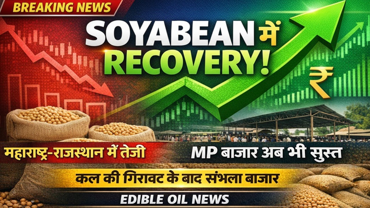 सोयाबीन बाजार में रिकवरी – कल की गिरावट के बाद संभला बाजार | Soyabean Market News