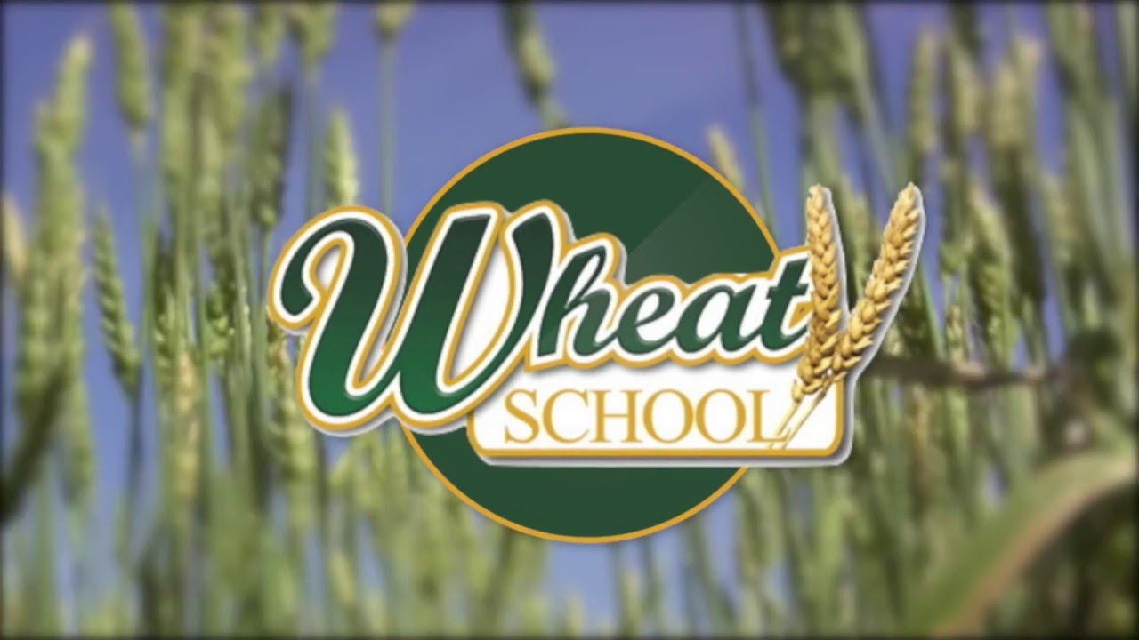 Wheat School: Do You Farm in a High-Yield or Low-Yield Wheat Zone?