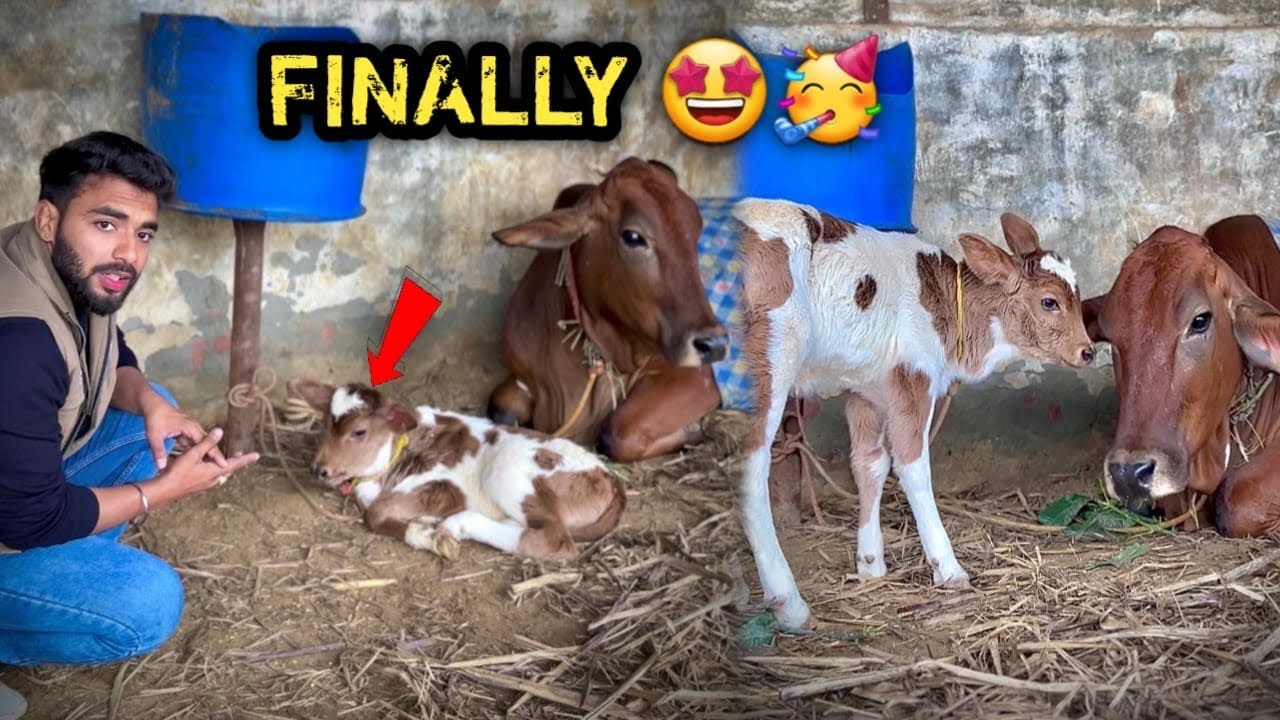Congratulations 🥳 Kai Saal Baad JHUMMAR माँ Ban Gyi 😍Heart waala Baby Aagya ❤️