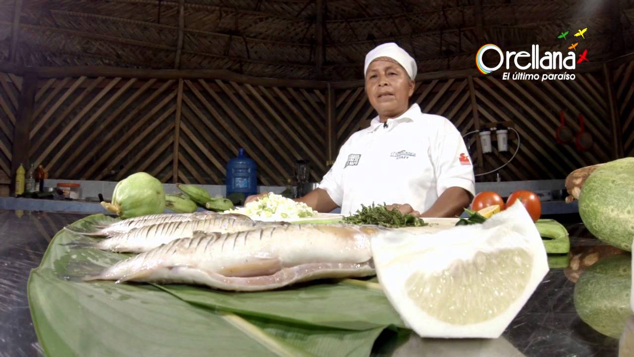 VISITA ORELLANA