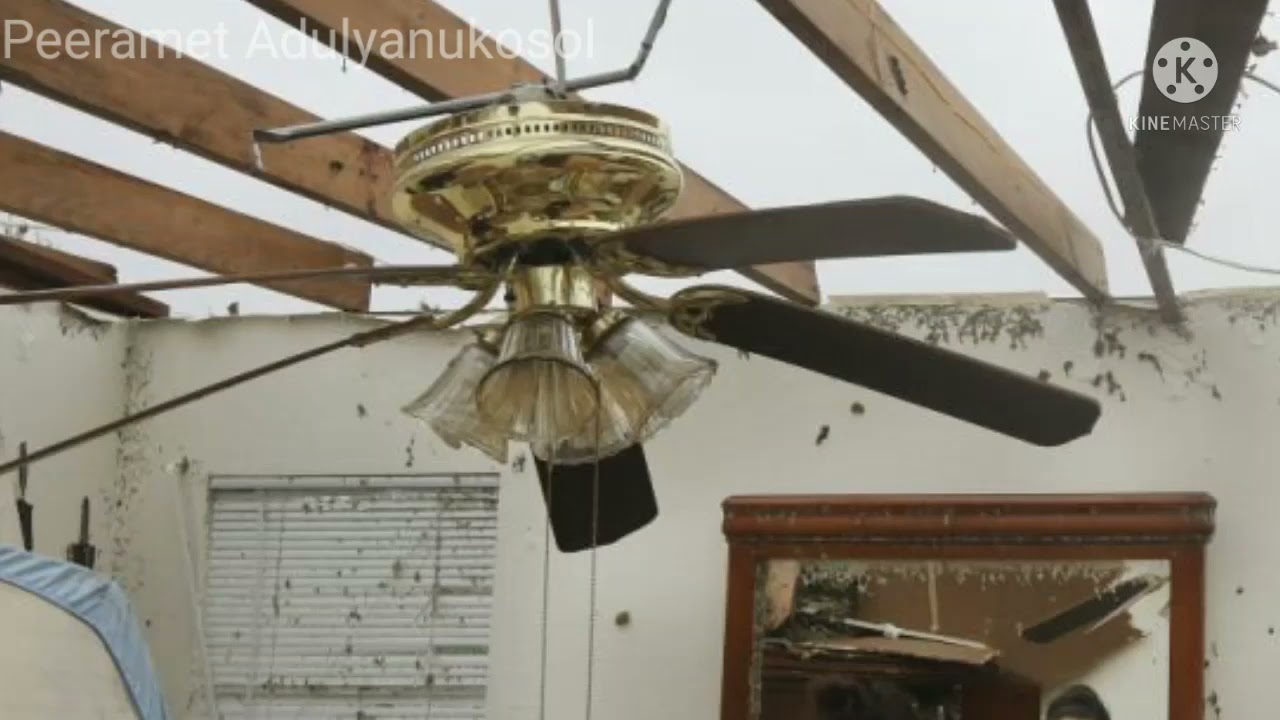 Abused Ceiling Fans Part3