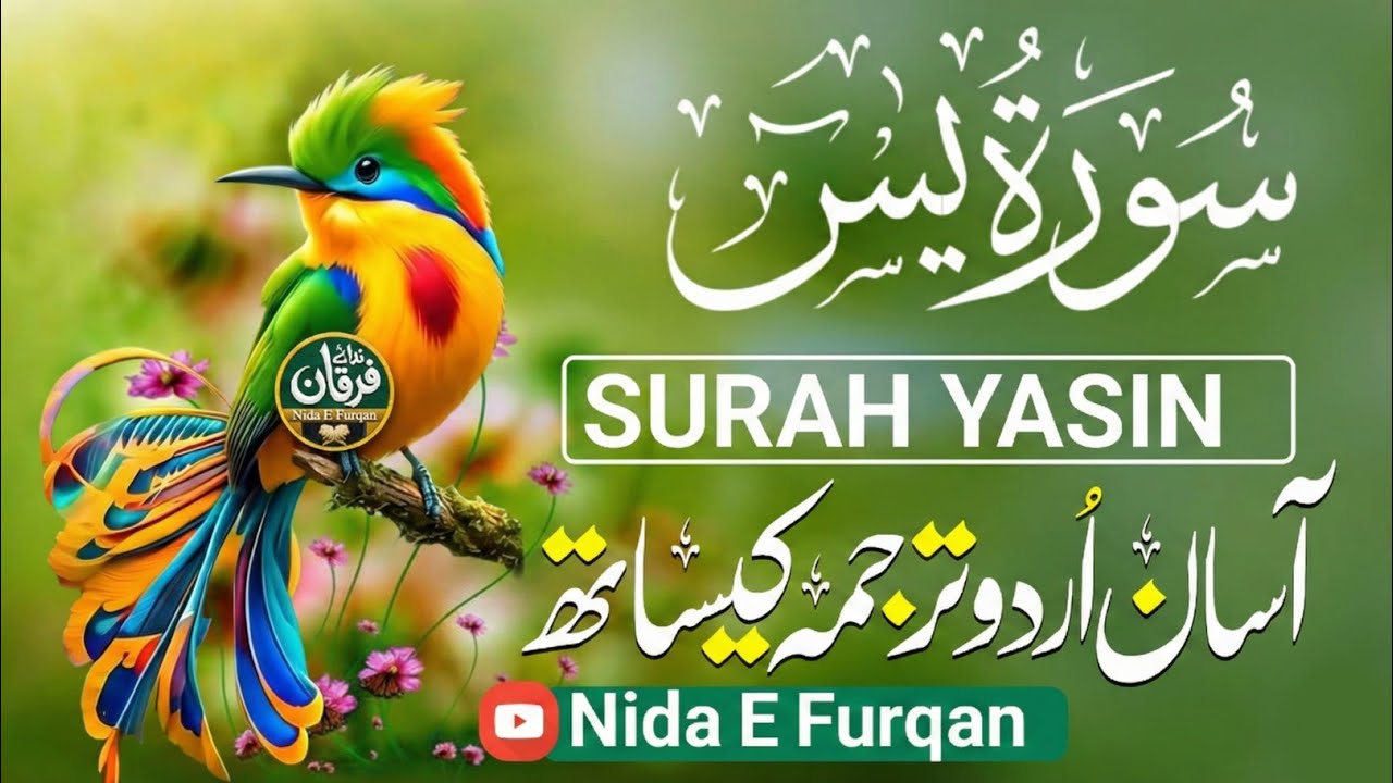 Listen to Surah Yaseen Every Morning | Full Recitation for Blessings & Protection | With Urdu Tarjum