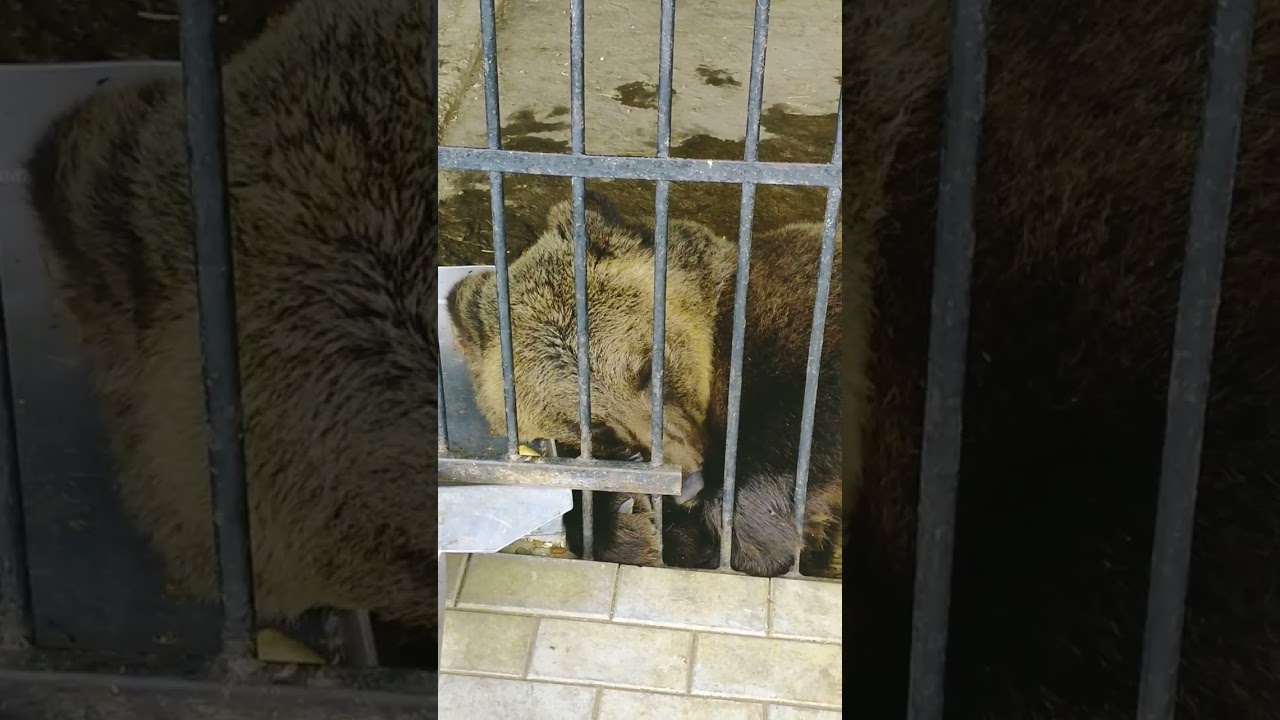 С добрым утром друзья!!! 