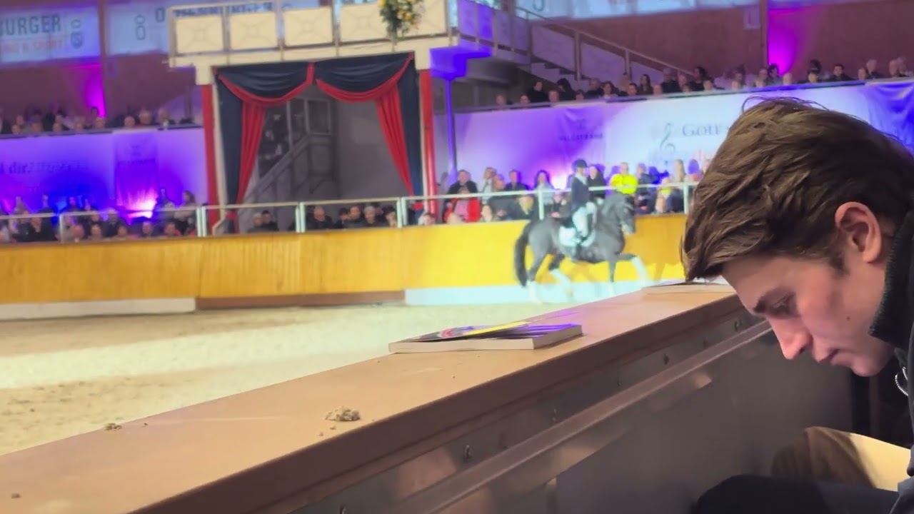 Total Hope OLD and Isabel Freese at the stallionshow Helgstrand Schockemouhle