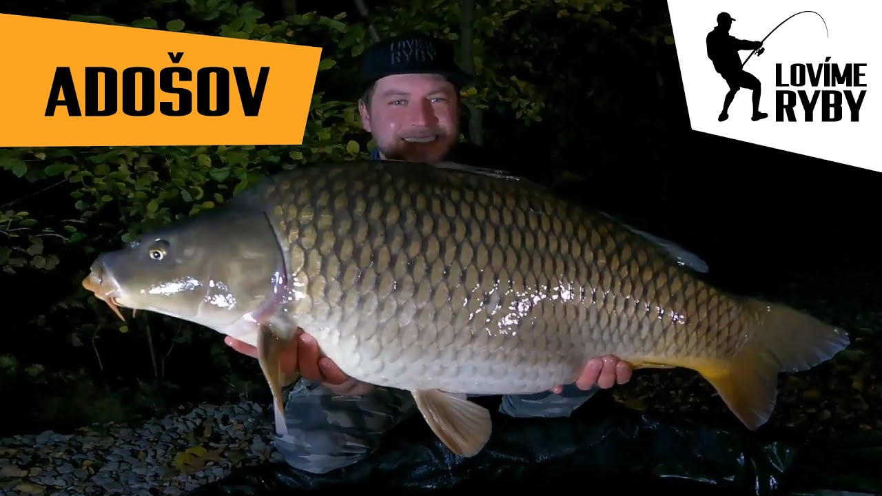 Lov kaprů na jezeře Adošov