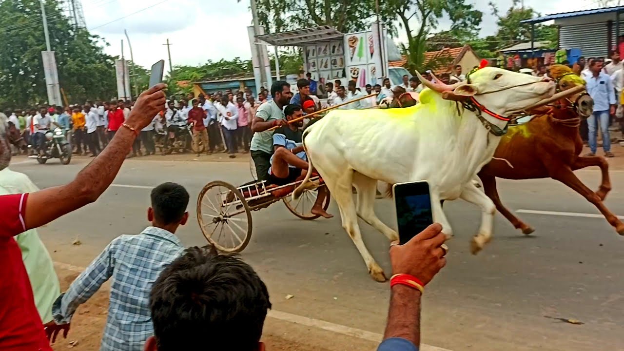 ಕಂಕಣವಾಡಿ ಶೇರತ್ತು 