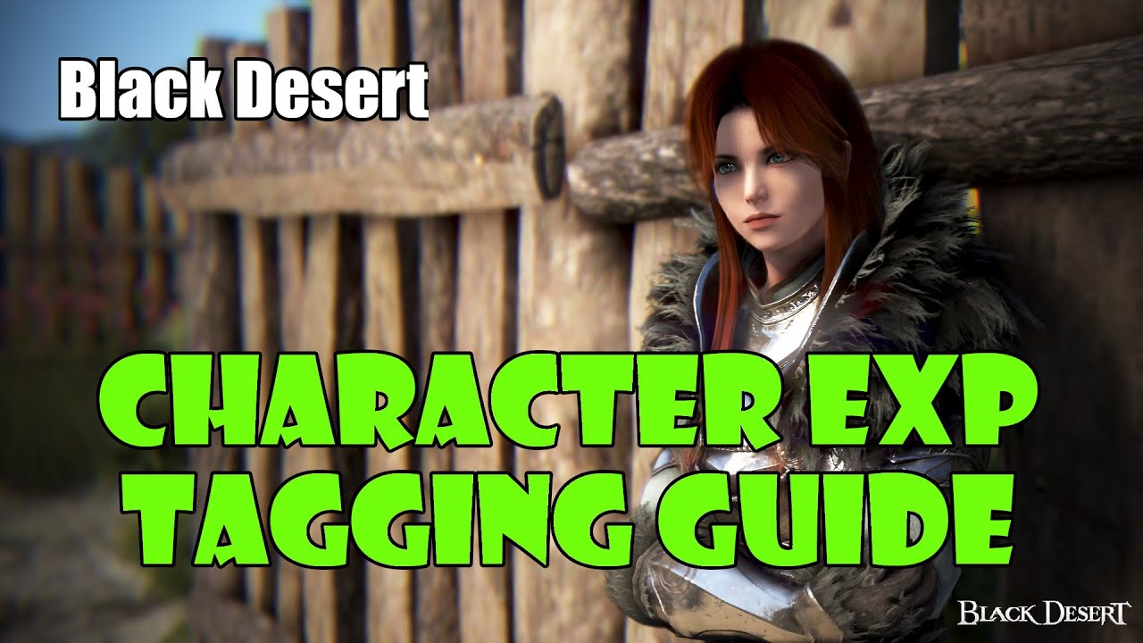 [Black Desert] EXP Tagging Character Tag System  Guide | Level Up Two Characters at Once!