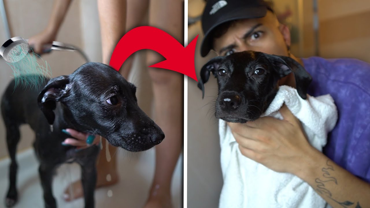 PRIMO BAGNETTO ALLA MIA CUCCIOLA *OMBRA* !!