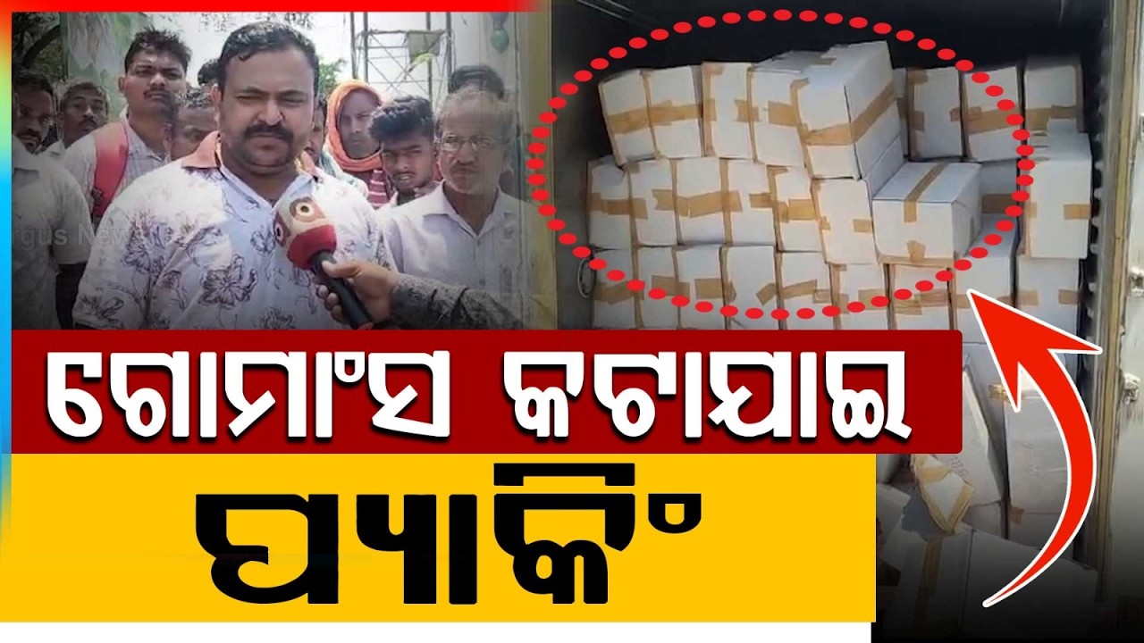କଟା ମାଂସ ଜବତ.. | Illegal Cattle Activity Busted In Athagarh | Meat Seized | Odisha News | Argus News