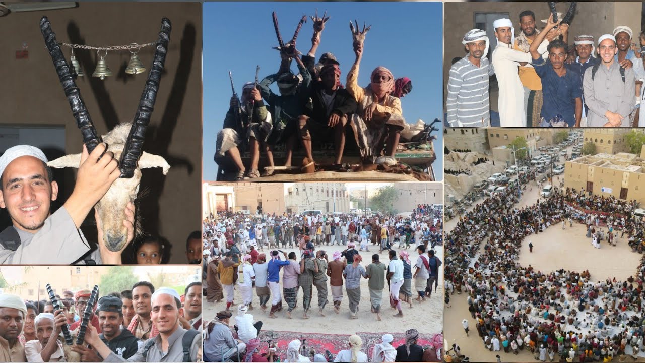 من العادات الحضرمية التريمية_عادات زف القنيص_الوعل_بحارة دمون_فرحة كبيرة لأهل البلد_اليمن