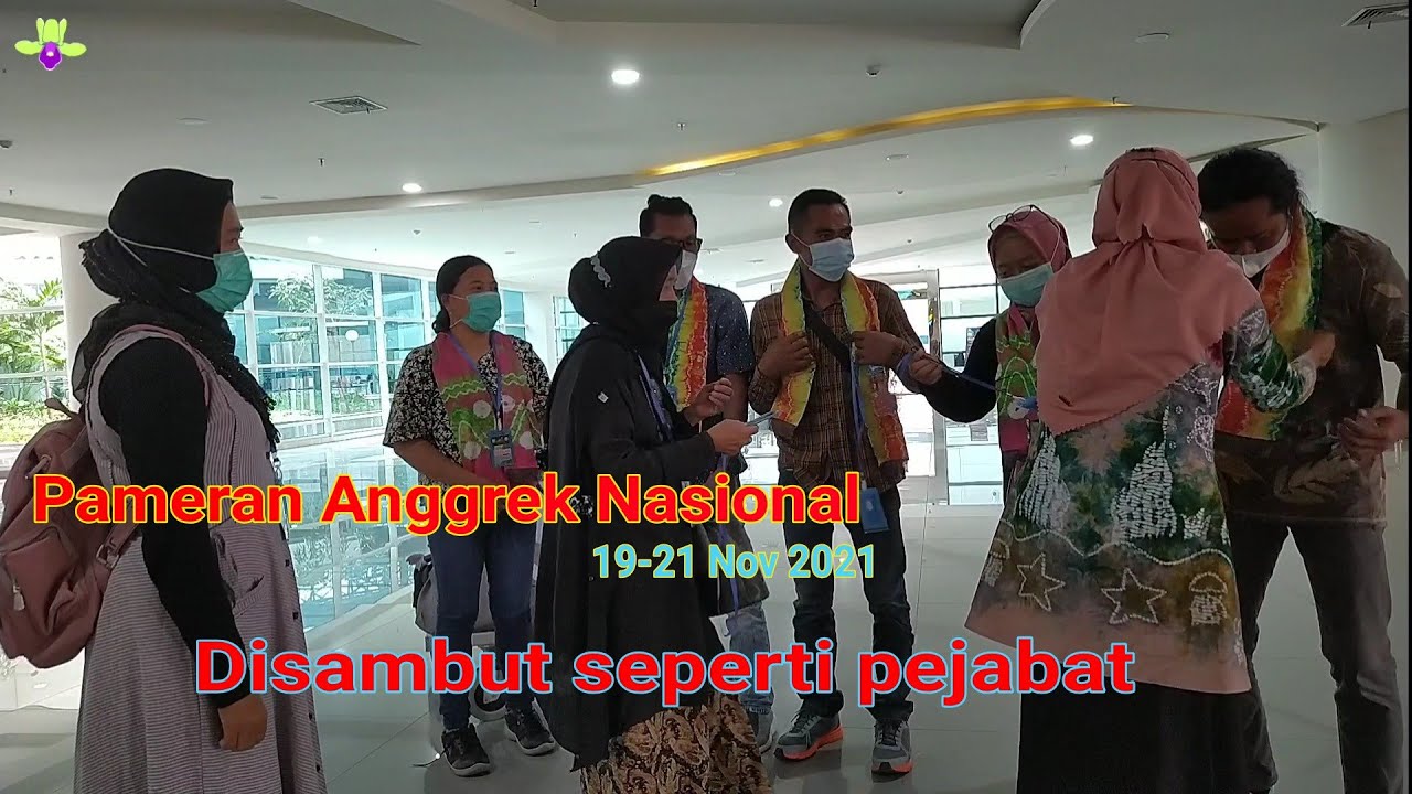 Sampai di Pelaihari, Kab. Tanah Laut, Kalimantan Selatan || National Borneo Orchid Show 2021