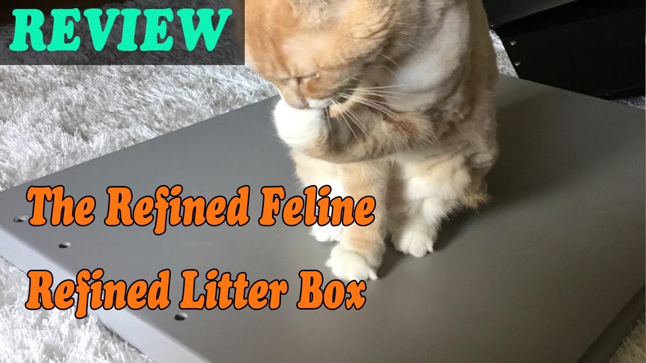 Review - The Refined Feline Refined Litter Box 2019