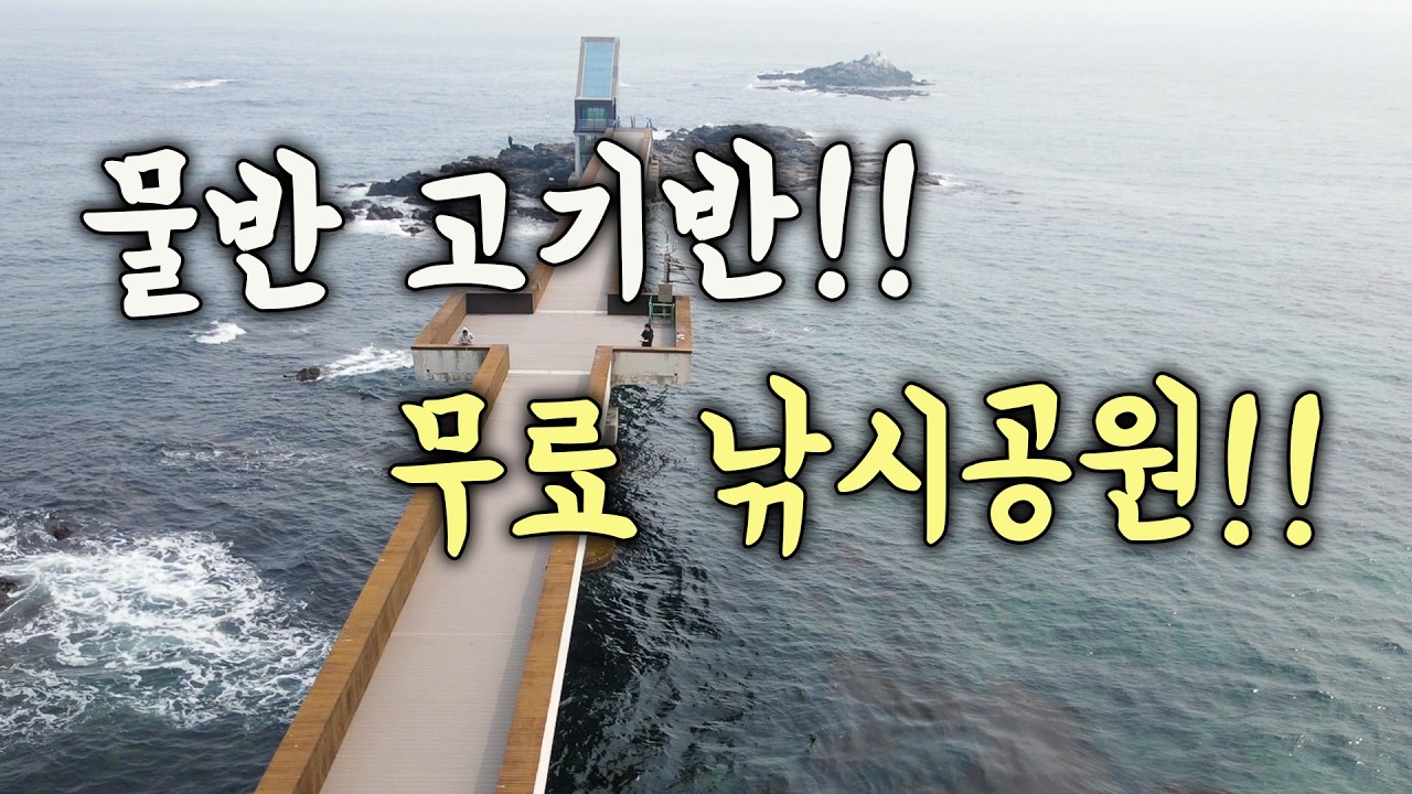 [다리tv] 던지면 문다!! 바글바글!!! 동해 무료 낚시 공원!!!