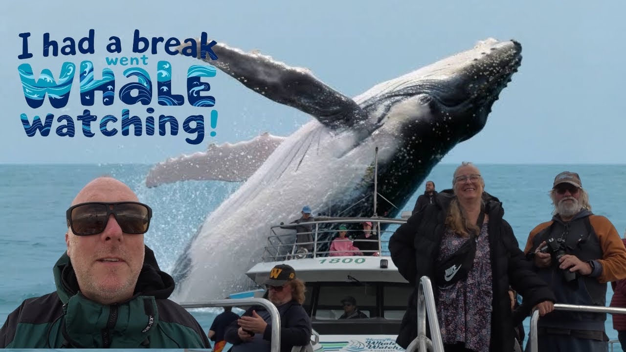 Had a break - Went Whale Watching