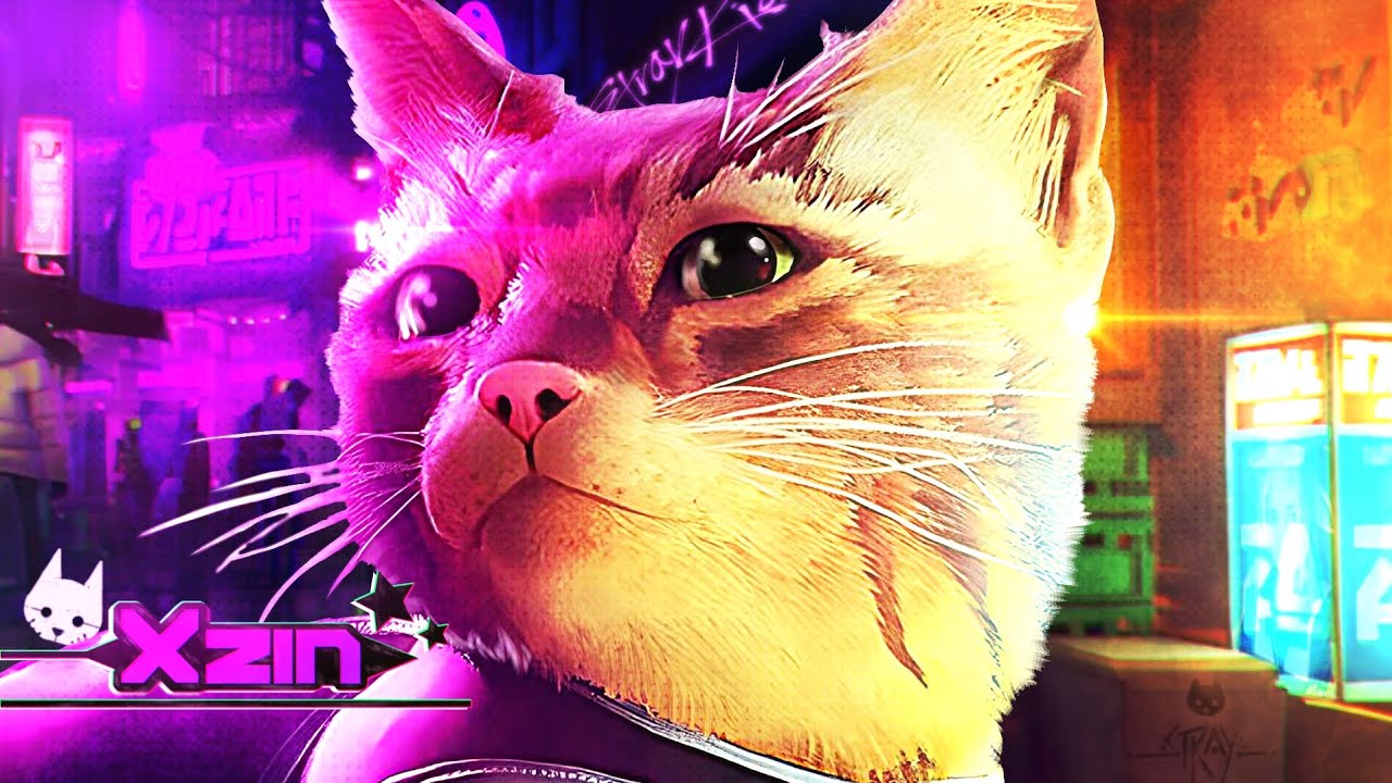 ♪ Liberdade | Stray - Xzin 