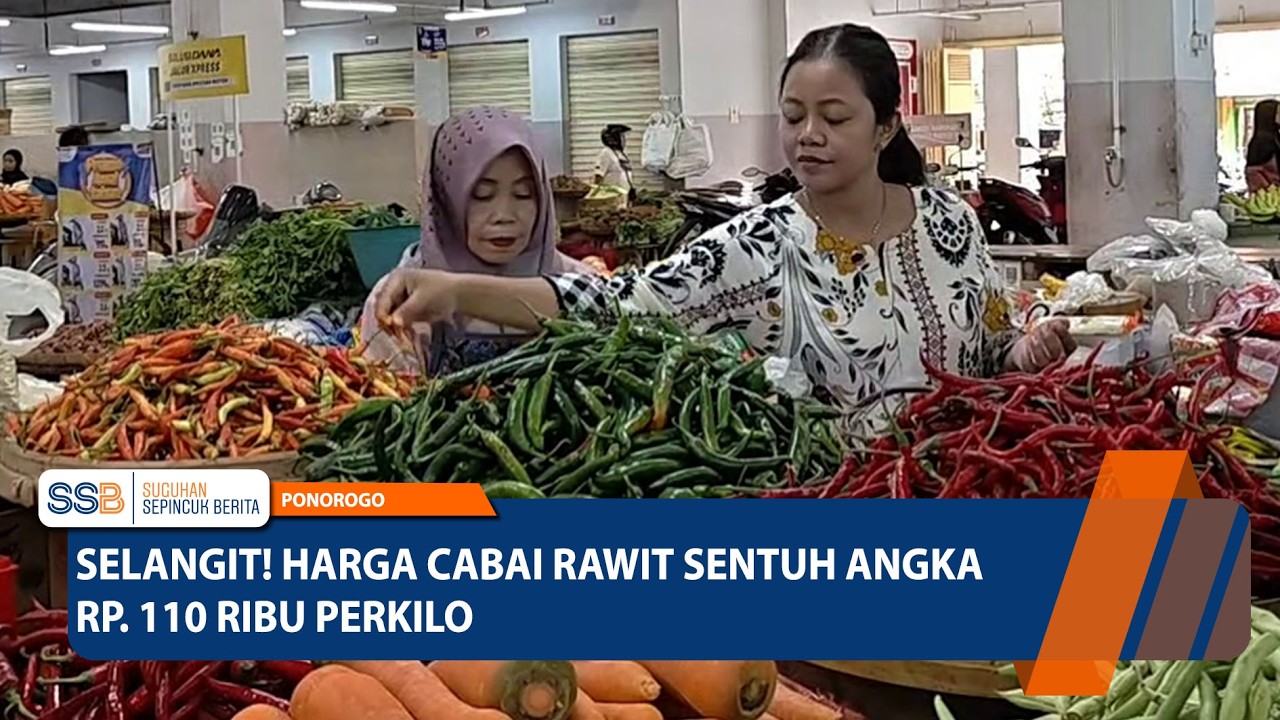 PONOROGO - Selangit! Harga Cabai Rawit di Ponorogo Tembus Rp110 Ribu Per Kilogram