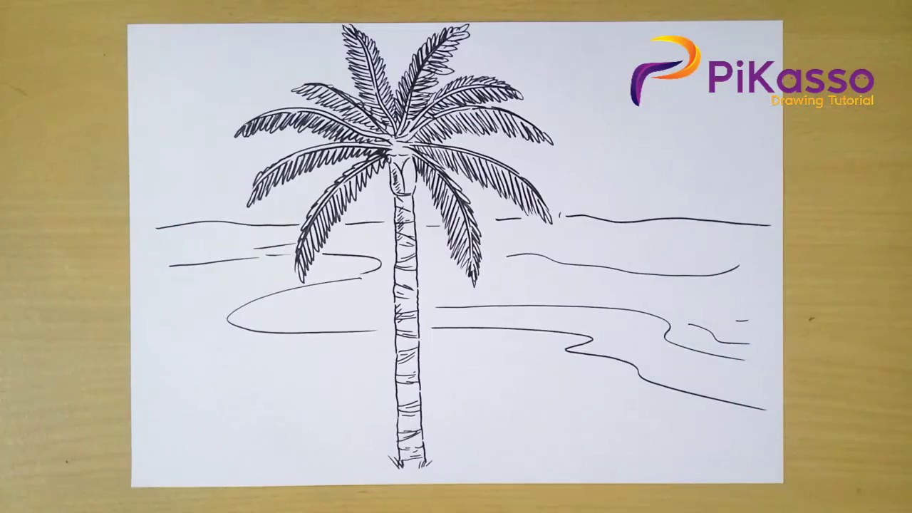 How to Draw a Palm Tree step by step easy