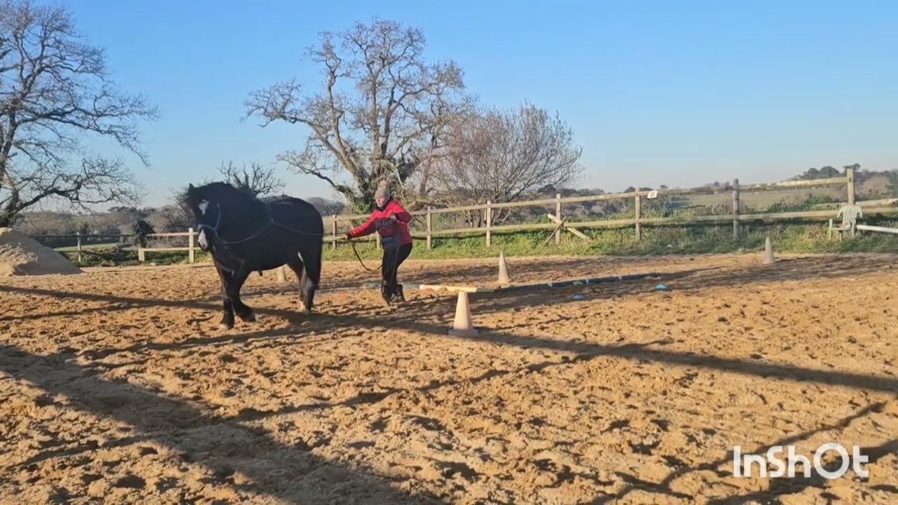 Equifeel virtuel 2026 / Manche 1 longues renes / Marina Gautier & Ti'noir