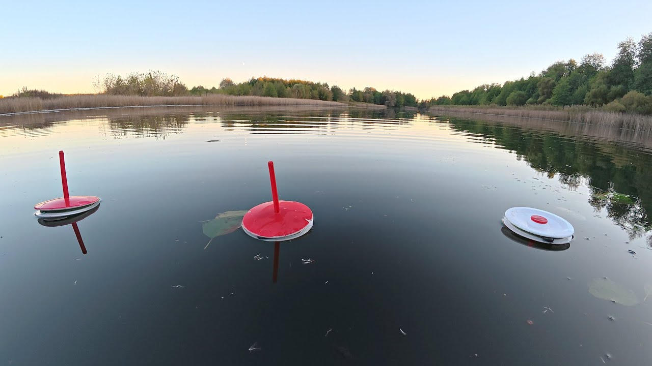 Рыбалка на кружки и спиннинг. Ловля щуки осенью на лесном озере.