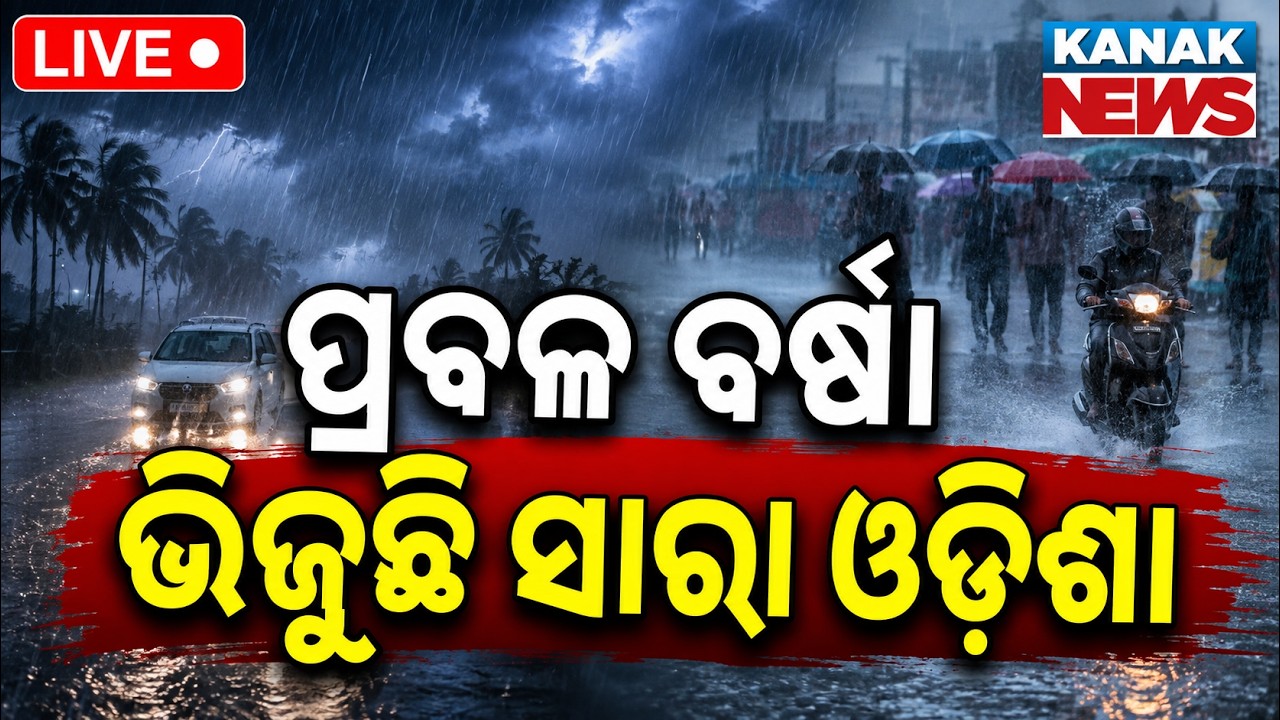 🔴ପ୍ରବଳ ବର୍ଷା | ଭିଜୁଛି ସାରା ଓଡ଼ିଶା Heavy Rain Warning in Odisha | Downpour Hits Several Districts