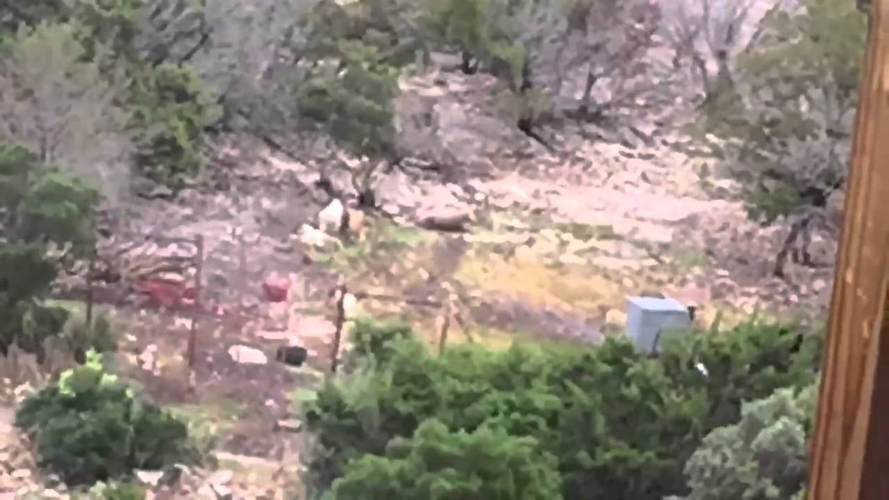 Thompson temple ranch 2015