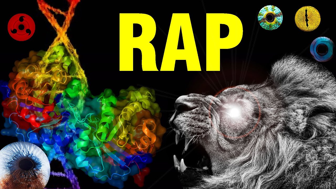 🐍 RAP de BIOLOGÍA 🐍 | Aprende Rapeando