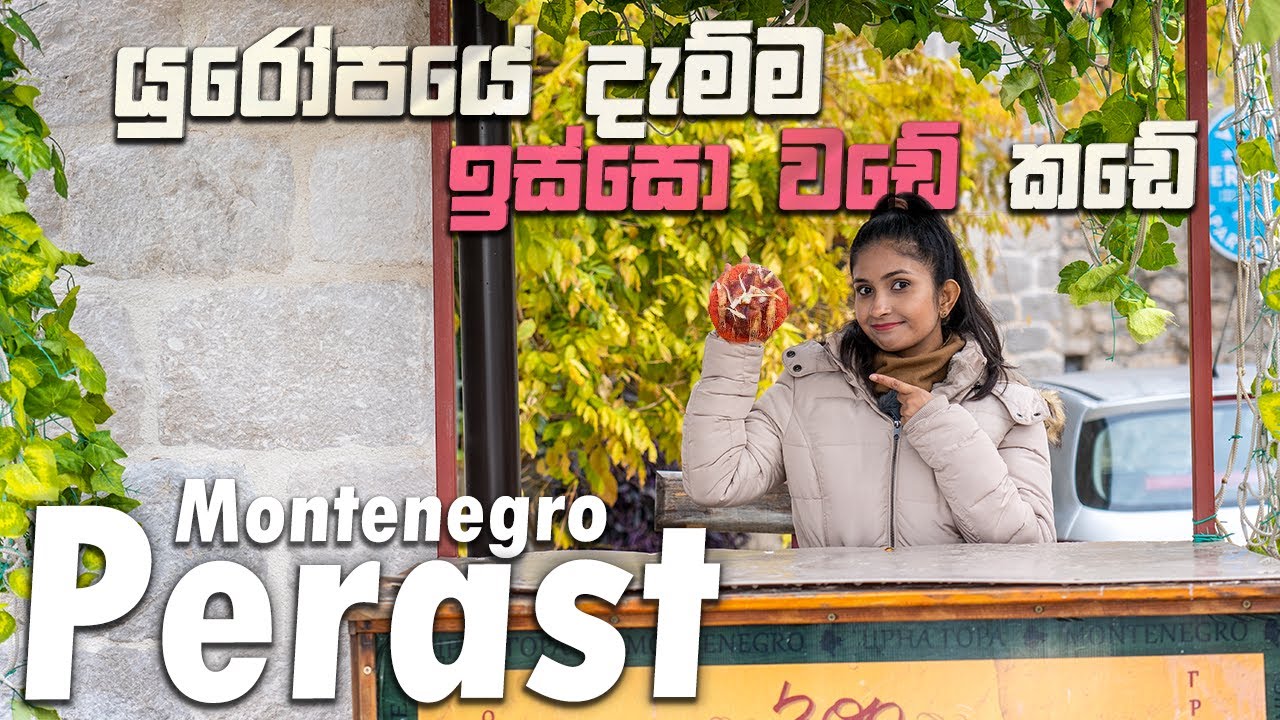 මිනිස්සු එකතු වෙලා හදපු කෘතීම දුපත | Kotor Montenegro 🇲🇪 | 38th Country