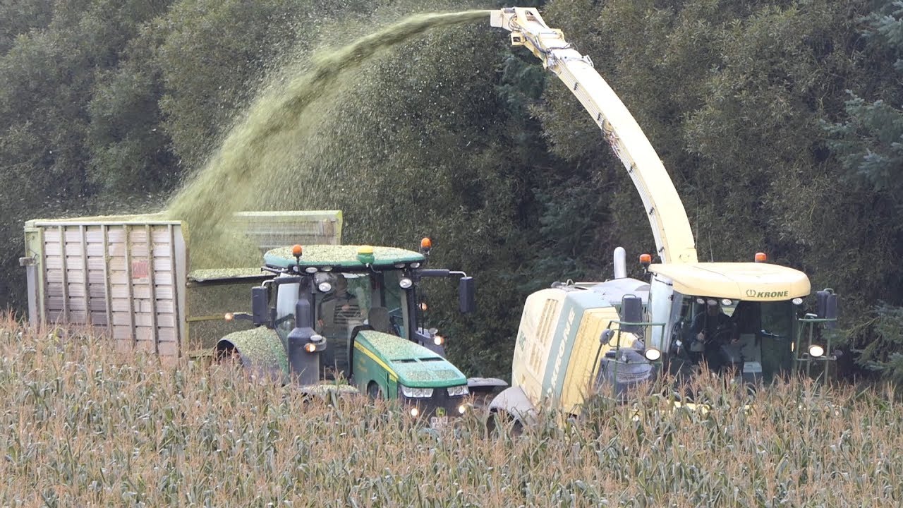 John Deere 8320R & Krone BigX 600 Working Hard During Corn Chopping 2019 | Maisernte | DK Agri