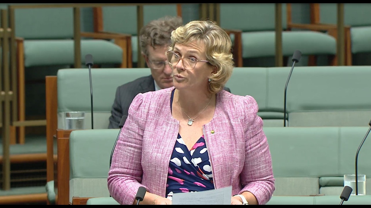 Zali Steggall MP asks for voter protection from political misinformation