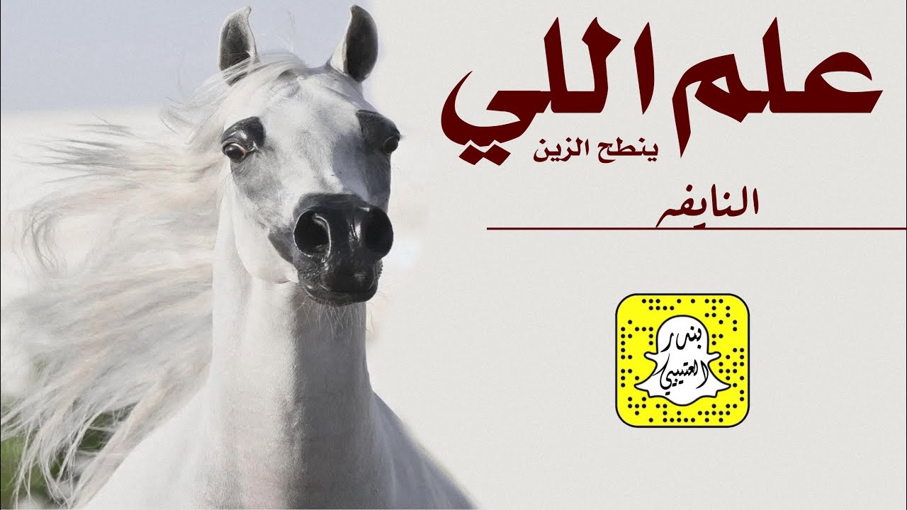 علم اللي ينطح الزين كلمات فرز الوغى اداء سعد محسن 2023 حصرياً