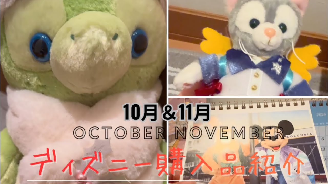  【ゆるっとディズニー購入品】10月＆11月
